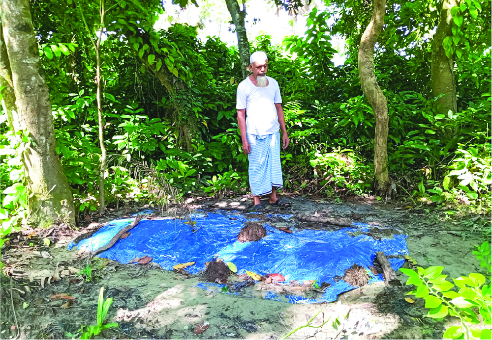 Image of হাফেজ মাসুদুর রহমান